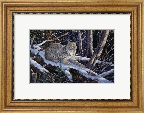 Framed Snow Moon Lynx Print