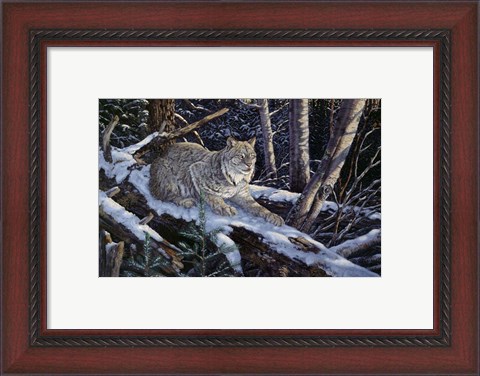 Framed Snow Moon Lynx Print