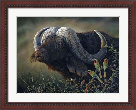 Framed Caped Buffalo Print