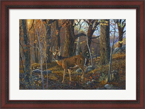 Framed Lost Valley Buck Print