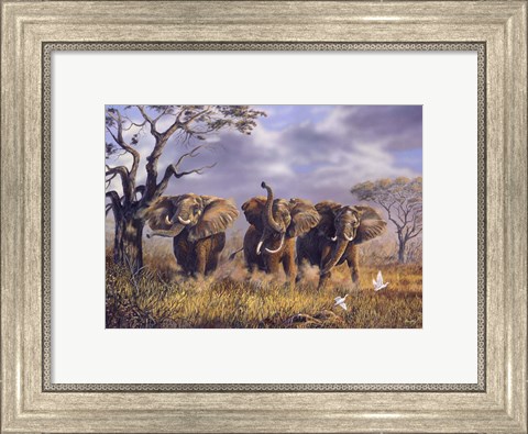 Framed On African Winds Print