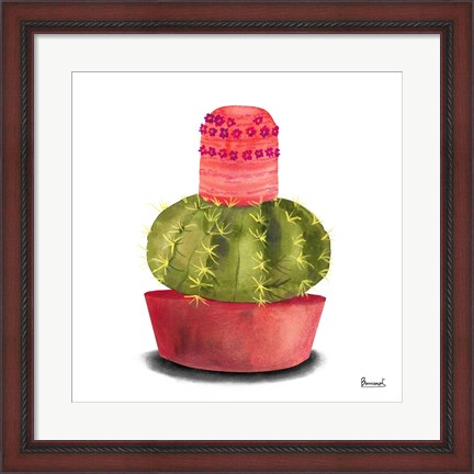 Framed Cactus Flowers IV Print