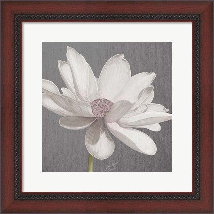 Framed Vintage Lotus on Grey I Print