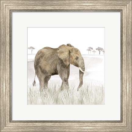 Framed Serengeti Elephant Square Print