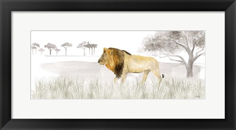 Framed Serengeti Lion horizontal panel Print