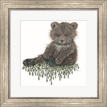 Framed Baby Bear Print