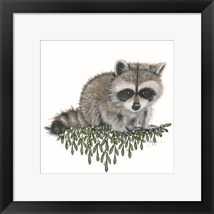 Framed Baby Raccoon Print