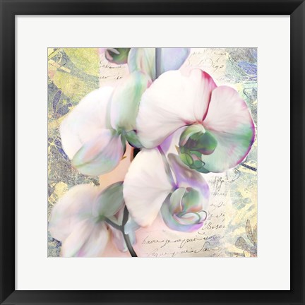 Framed Kaleidoscope Orchid (detail) Print