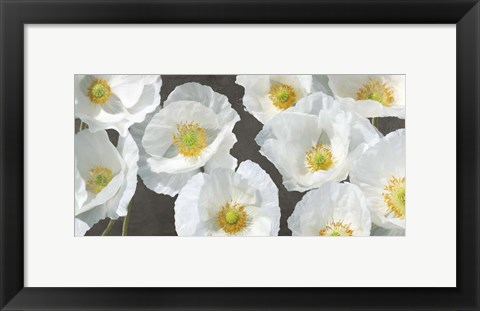 Framed Poppy Arrangement (Chalkboard) Print