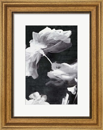 Framed Dark Beauty II Print