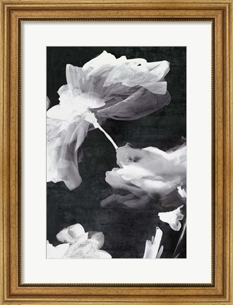 Framed Dark Beauty II Print