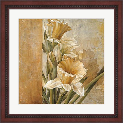 Framed Champagne Daffodils II Print