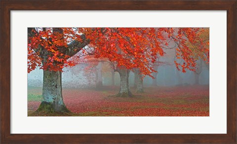 Framed Arboles Rojos Print