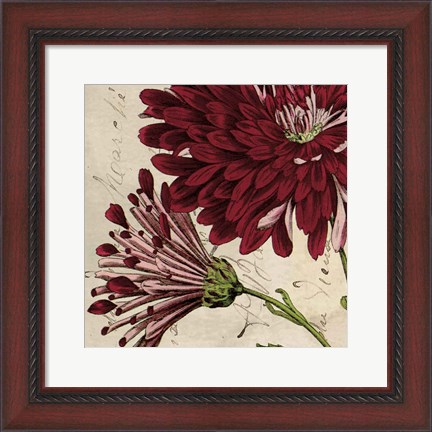 Framed Joyful Bloom II Print