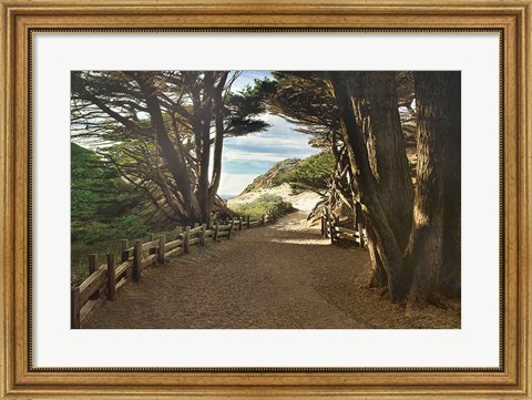 Framed Big Sur Print