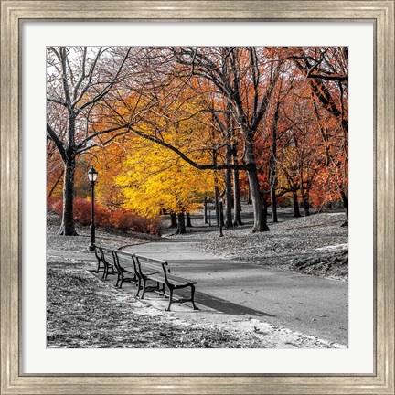 Framed Park Pretty I Print