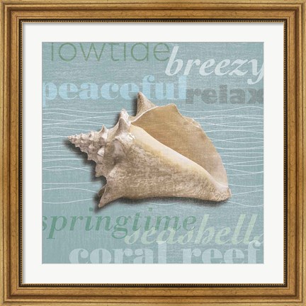 Framed Beach Collection IV Print