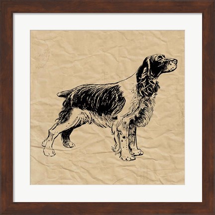 Framed Spaniel Print