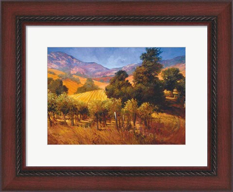 Framed Southern Vineyard Hills Print