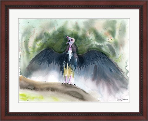 Framed Vulture Print