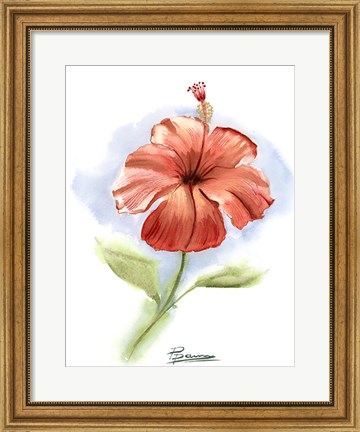 Framed Red Flower Print