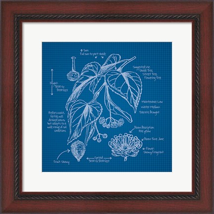 Framed Blueprints II Print