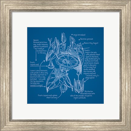 Framed Blueprints III Print