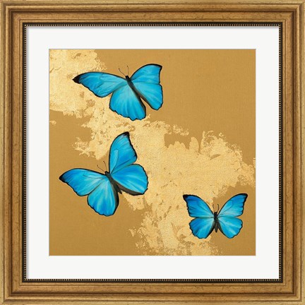 Framed Cerulean Butterfly II Print