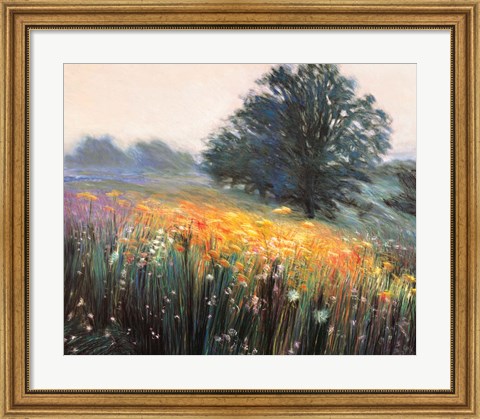 Framed Misty Morning III Print