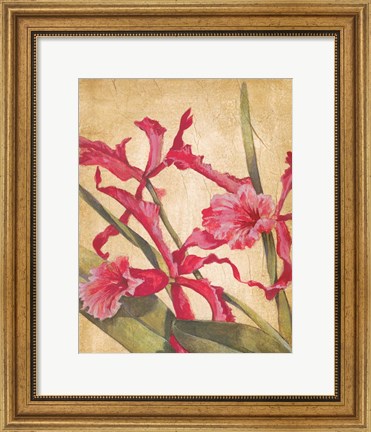 Framed Hawaiian Tropics I Print