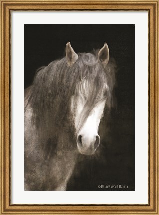 Framed Gypsy Vanner Mystique Print