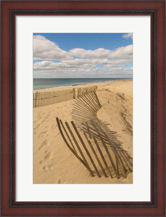 Framed Beach Dunes II Print