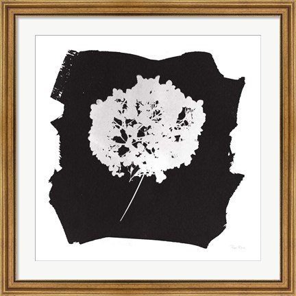 Framed Nature by the Lake Flowers I Black Print