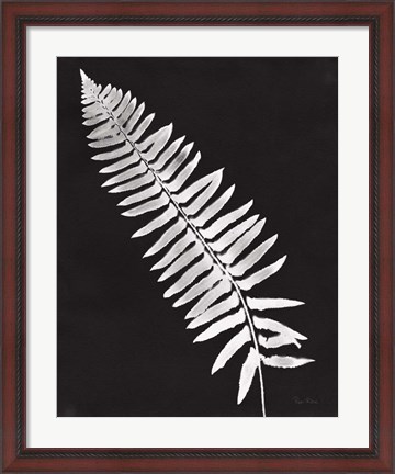 Framed Nature by the Lake Ferns IV Black Crop Print