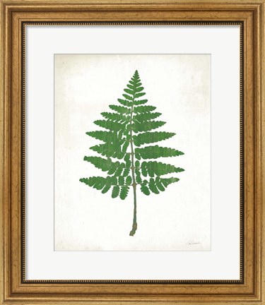 Framed Chalkboard Fern Green II Print