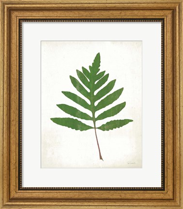 Framed Chalkboard Fern Green I Print