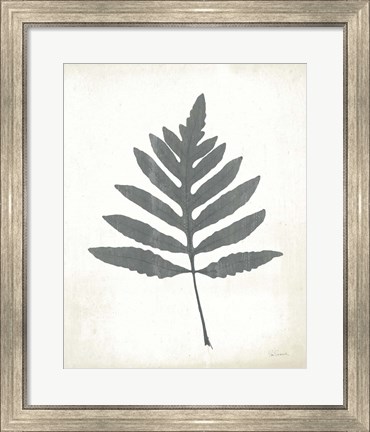 Framed Chalkboard Fern I Print