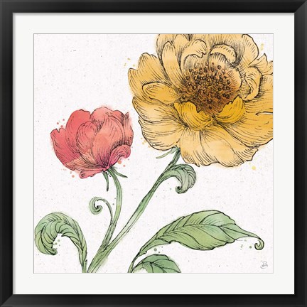Framed Blossom Sketches III Color Print