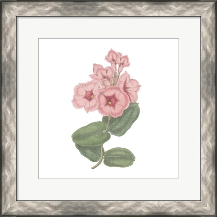 Framed Monument Etching Tile Flowers VI Print