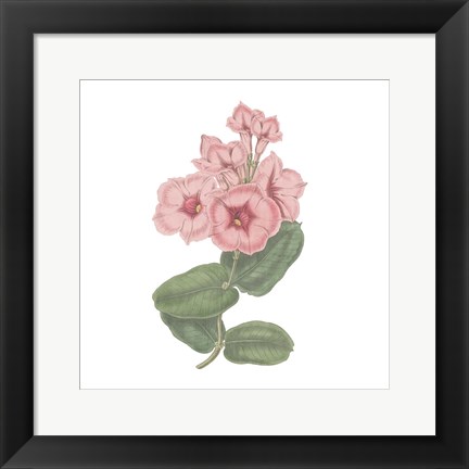 Framed Monument Etching Tile Flowers VI Print