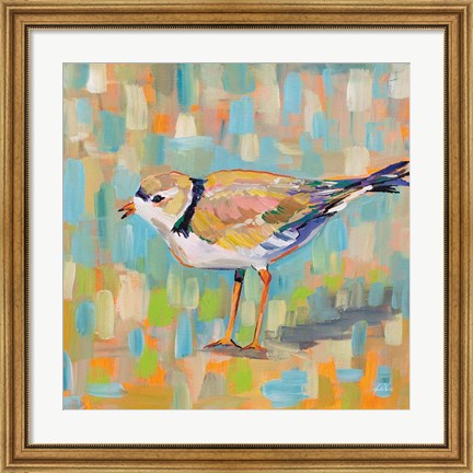 Framed Coastal Plover IV Print