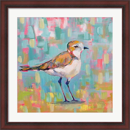 Framed Coastal Plover III Print