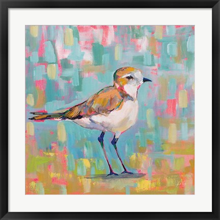 Framed Coastal Plover III Print