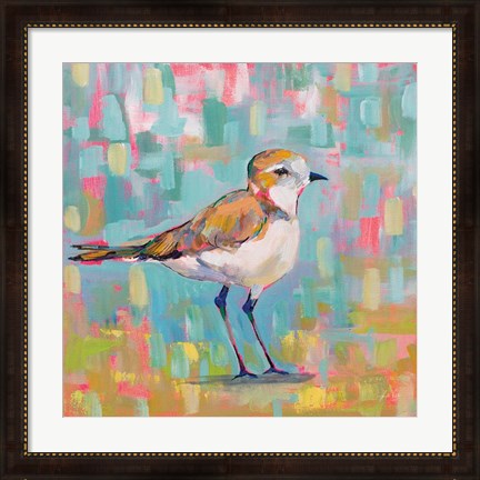 Framed Coastal Plover III Print