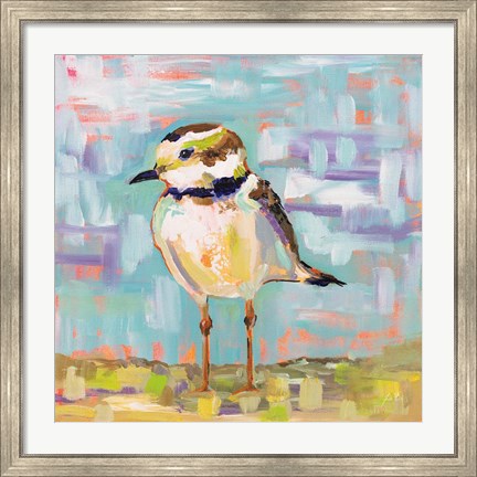 Framed Coastal Plover II Print