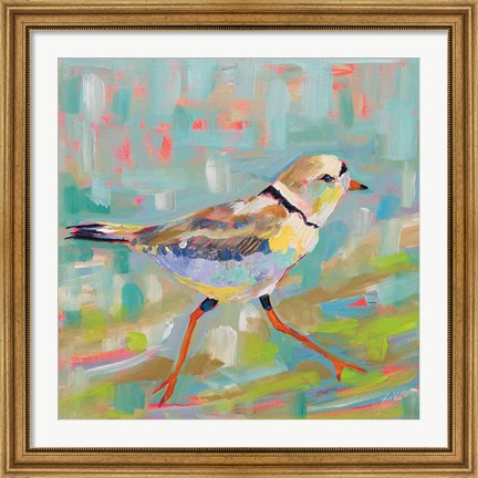 Framed Coastal Plover I Print