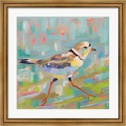 Framed Coastal Plover I Print