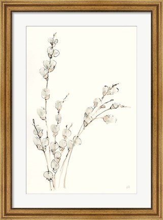 Framed Pussy Willows V Print