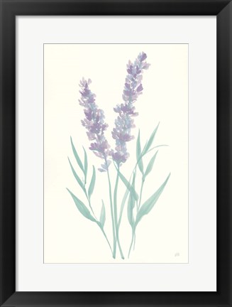 Framed Lavender I Print