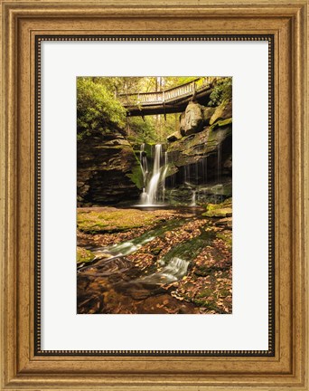 Framed Under the Bridge II Print